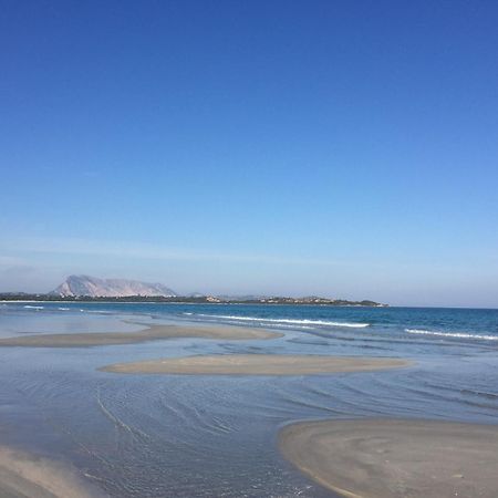 Hotel Al Faro Spiaggia La Cinta Santeodoro San Teodoro  Exteriér fotografie