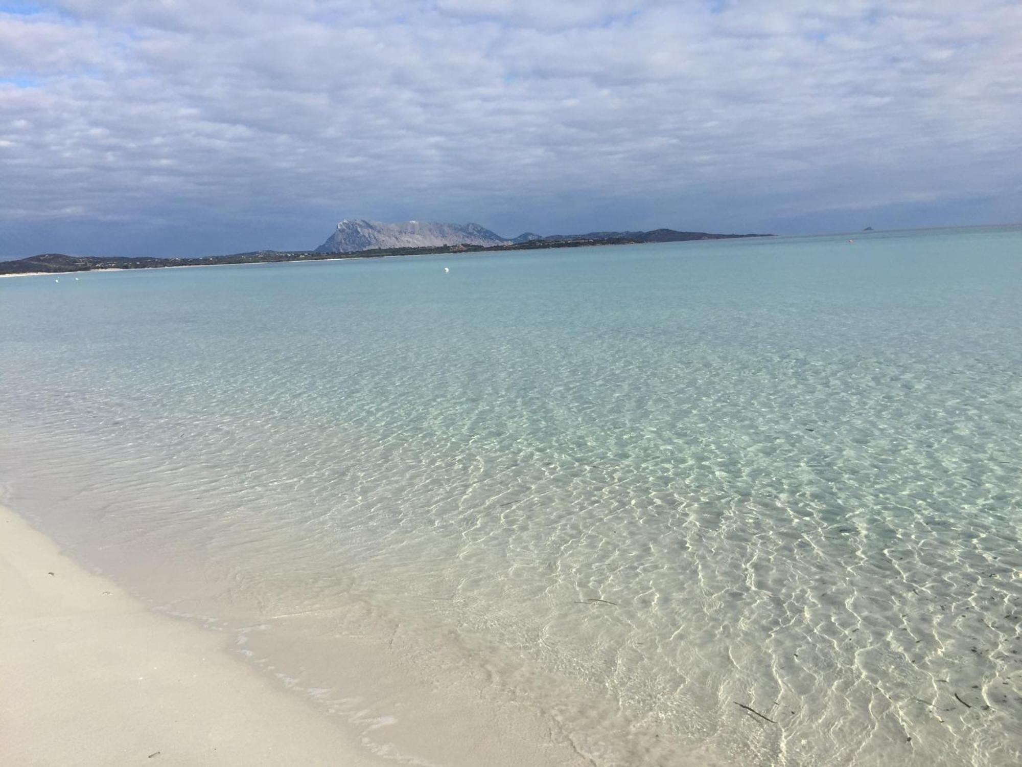 Hotel Al Faro Spiaggia La Cinta Santeodoro San Teodoro  Exteriér fotografie